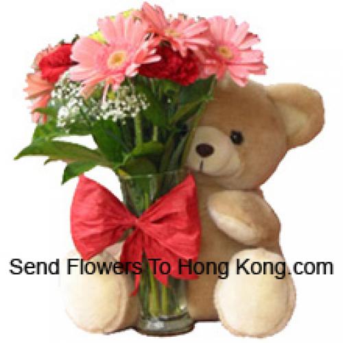 12 Red Carnations and Pink Gerberas with Teddy