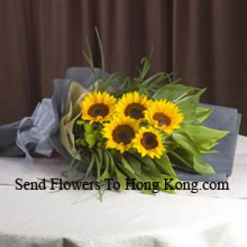 Handpicked Sunflowers Bunch