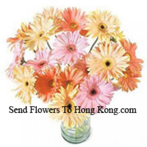 24 Fancy Assorted Gerberas