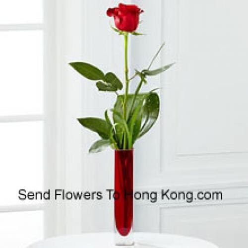 Cute Single Red Rose