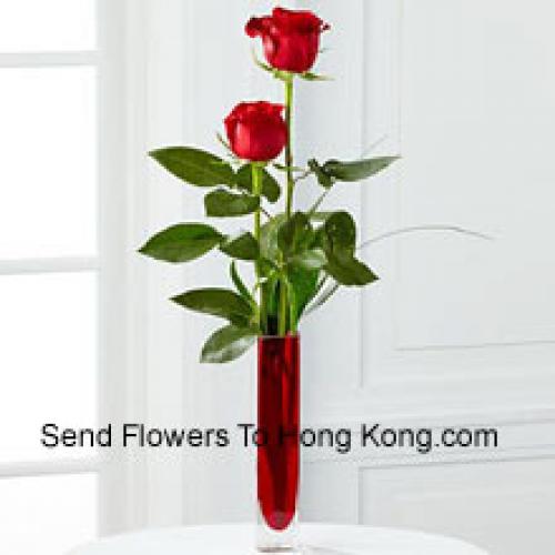 2 Sweet Red Roses in Vase